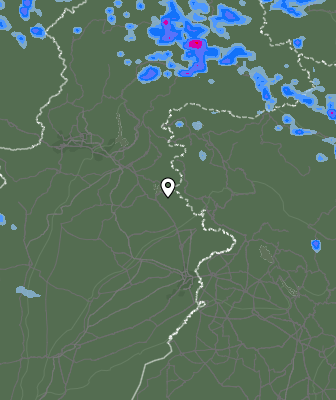 Валежи