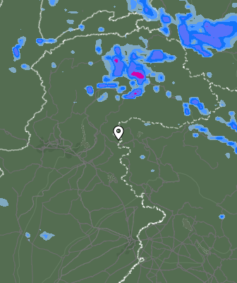 Валежи