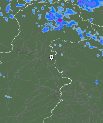 Валежи
