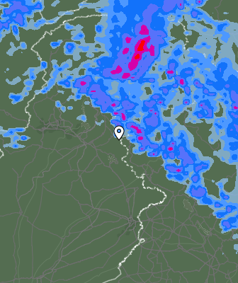 Валежи