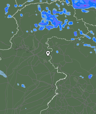 Валежи