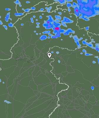 Валежи