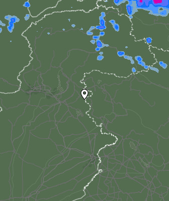 Валежи