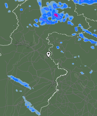Валежи