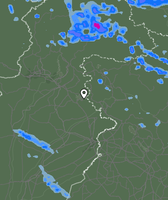 Валежи