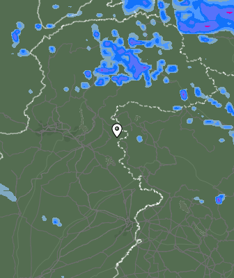 Валежи