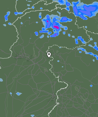 Валежи