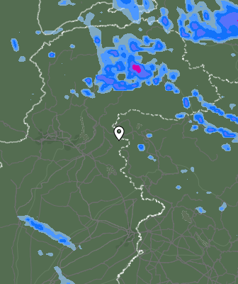 Валежи