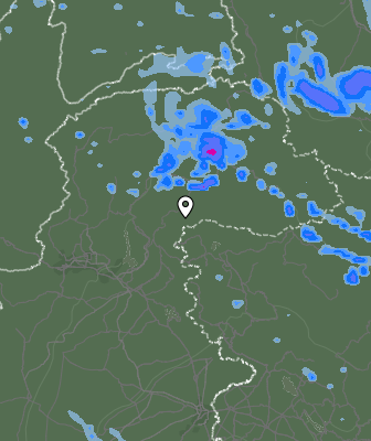 Валежи