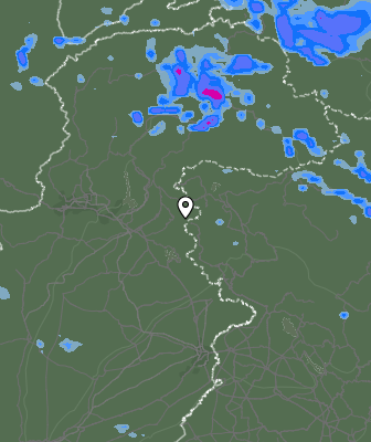 Валежи