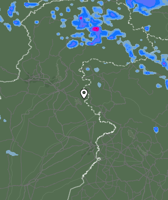 Валежи