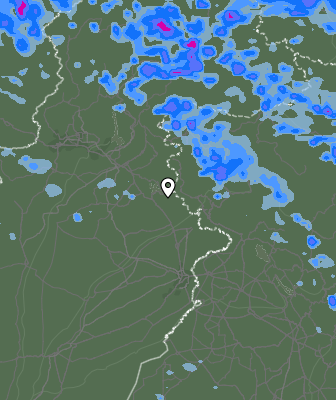 Валежи