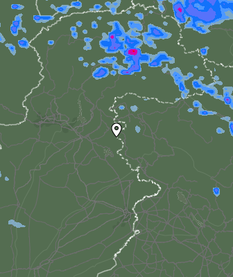 Валежи