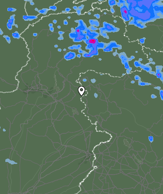 Валежи