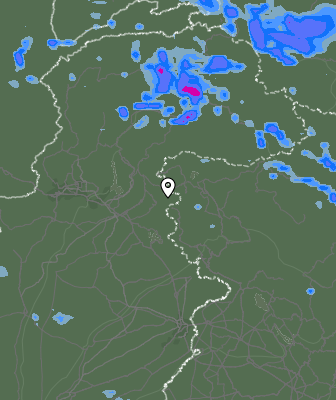 Валежи