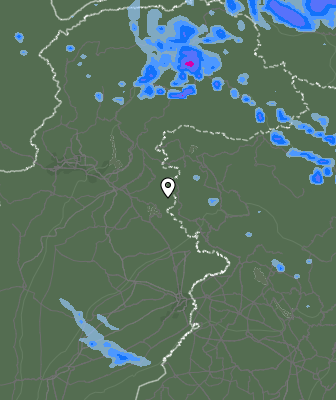 Валежи