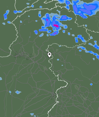 Валежи