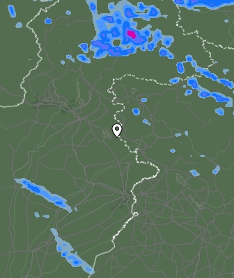Валежи