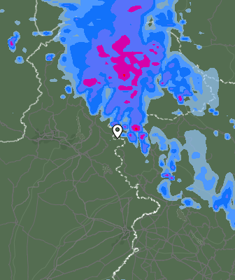Валежи
