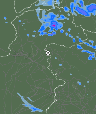 Валежи