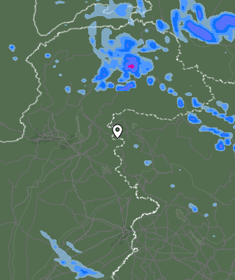 Валежи