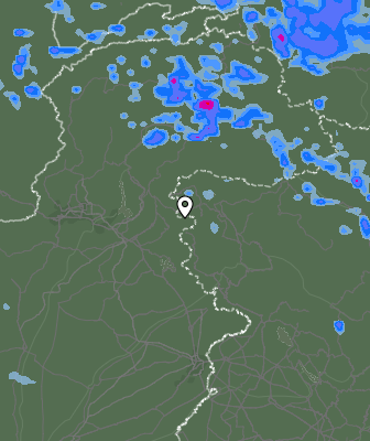 Валежи