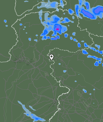Валежи