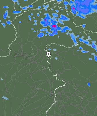 Валежи