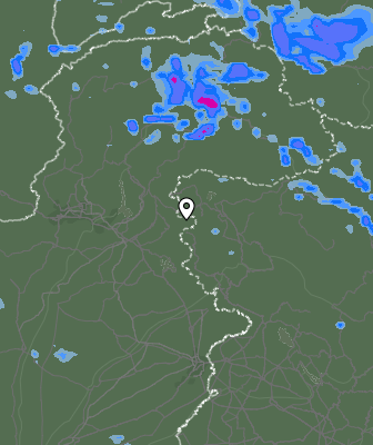 Валежи