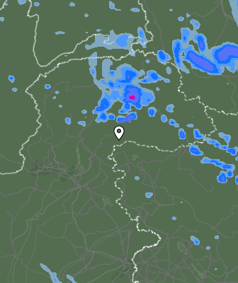 Валежи
