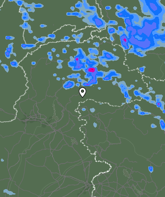 Валежи