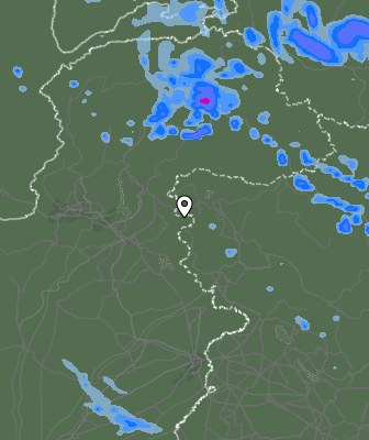 Валежи