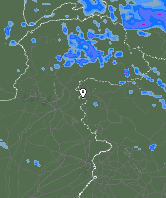 Валежи