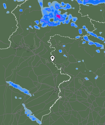 Валежи