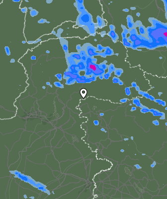 Валежи
