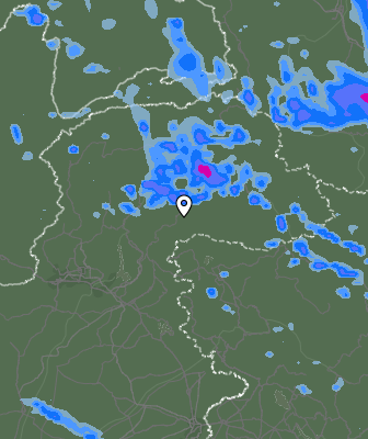Валежи