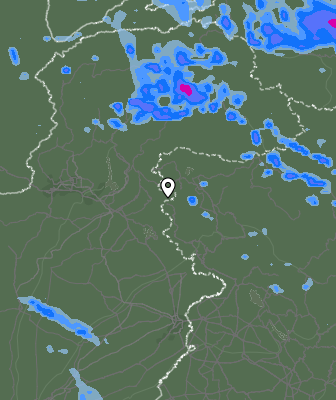 Валежи