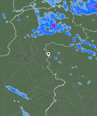 Валежи
