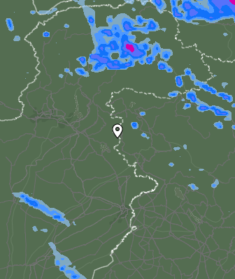 Валежи