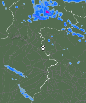 Валежи