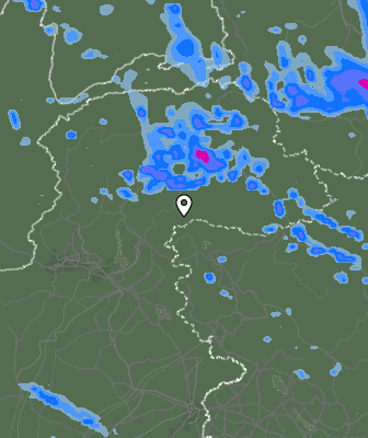 Валежи