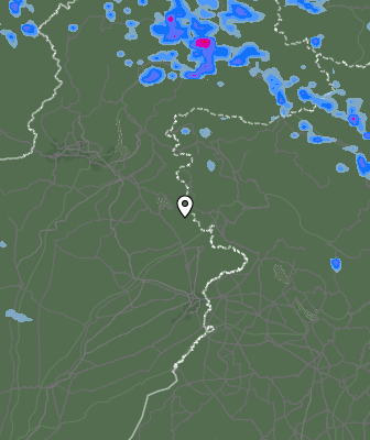 Валежи