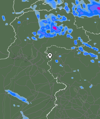 Валежи