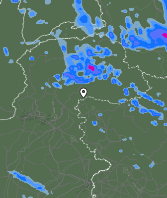 Валежи
