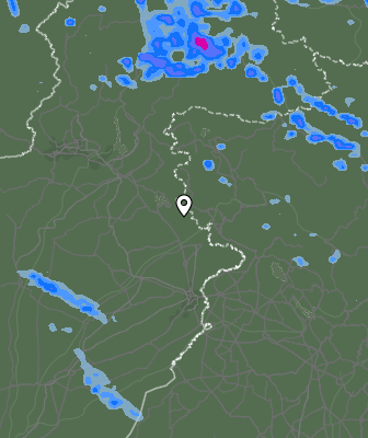 Валежи
