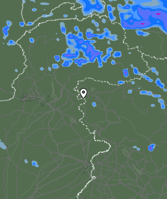 Валежи