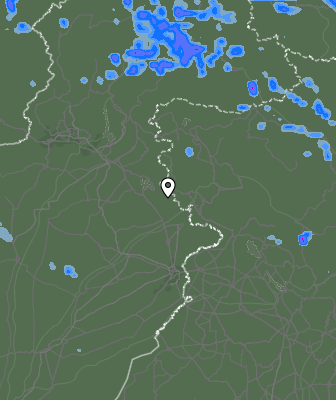 Валежи