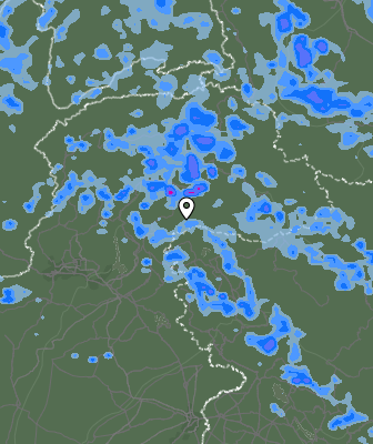 Валежи