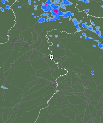 Валежи
