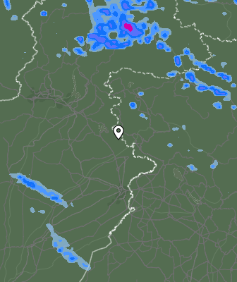 Валежи